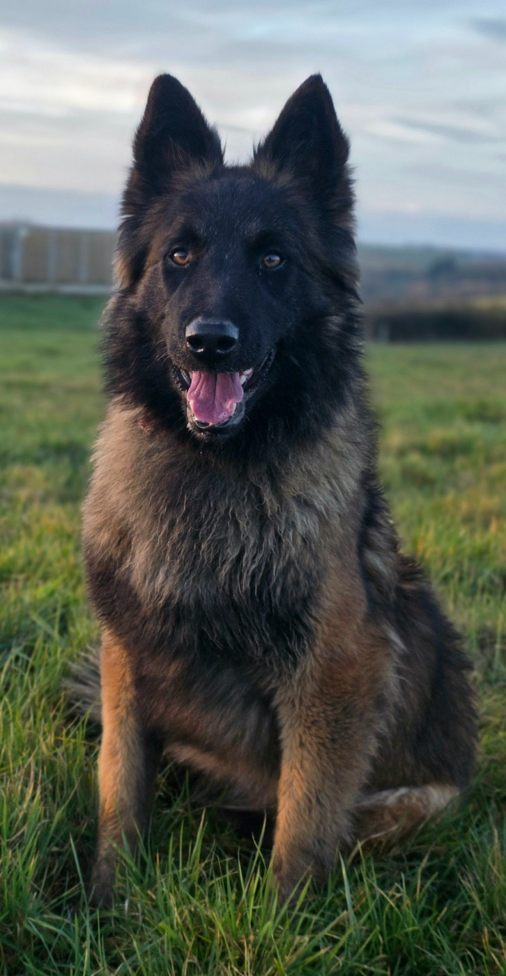 Vodka De L'Empire Du Mont Sombet