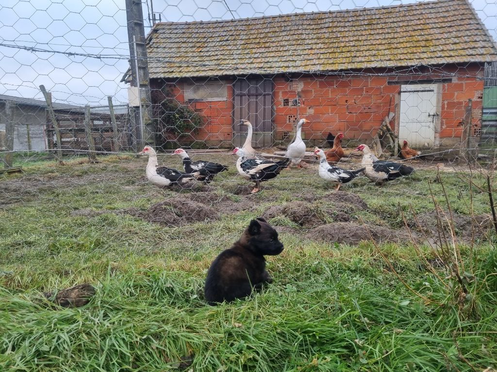 Quelques photos des bébés nés chez nous &#128525;